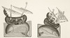 Navigators Who Have Mistaken A Whale's Back Island Seat Themselves It Cook Their Food Whale Then Dives Vessel Is Nearly Wrecked After A Miniature A 10Th Century Manuscript Bestiaire D'amour Richard Furnival Science Literature Middle Ages Paul Lacroix