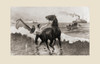 The Gussie Expedition: Landing Horses Through Surf Under Fire Shore Gussie Was Officially Sponsored Supply Vessel Whose Captain's Poor Choice Landing Spots Resulted Two Failed Attempts Deliver Cargo Cuban Rebels During Spanish-American War 1898 After