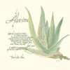 Aloe Vera Poster Print by Chris Paschke - Item # VARPDX1446