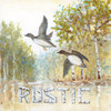 Rustic Poster Print by Arnie Fisk - Item # VARPDX18406