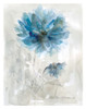 Blue Dahlia Poster Print by Carol Robinson - Item # VARPDX19679