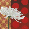 Morning Chrysanthemum I Poster Print by Kathrine Lovell - Item # VARPDX28128