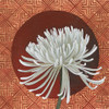 Morning Chrysanthemum III Poster Print by Kathrine Lovell - Item # VARPDX28130