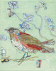 Sea Foam Bird Poster Print by Kellie Day - Item # VARPDX28385