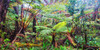 Palm and fern forest, Hawaii (detail) Poster Print by Pangea Images Pangea Images - Item # VARPDX2AP4875