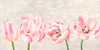 Classic Tulips Poster Print by Thomlinson Jenny - Item # VARPDX2JT4921