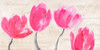 Classic Tulips Poster Print by Phelipau Muriel - Item # VARPDX2PM4908