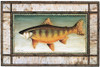 Brook Trout Birch Border Poster Print by David Carter Brown - Item # VARPDX3162