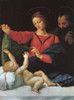 Holy Family Poster Print by Raphael Raphael - Item # VARPDX373966