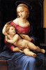 Madonna And Child 4 Poster Print by Raphael Raphael - Item # VARPDX373979