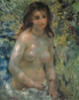 Nude In The Sunlight Poster Print by Pierre-Auguste Renoir - Item # VARPDX374148