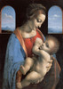 Madonna and Child (Madonna Litta) Poster Print by da Vinci Leonardo - Item # VARPDX3LV4980