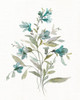 Linen Botanical III Poster Print by Carol Robinson - Item # VARPDX40904