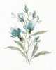 Linen Botanical IV Poster Print by Carol Robinson - Item # VARPDX40905