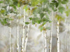 Evergreen Forest Poster Print by Nan Nan - Item # VARPDX40964