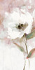 Summer Bloom II Poster Print by Carol Robinson - Item # VARPDX40970