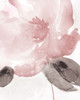 Blush Bloom I Poster Print by Carol Robinson - Item # VARPDX41015