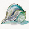 Malecon Shell I Poster Print by Carol Robinson - Item # VARPDX41056