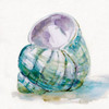 Malecon Shell V Poster Print by Carol Robinson - Item # VARPDX41060