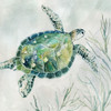 Seaglass Turtle I Poster Print by Carol Robinson - Item # VARPDX41102