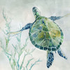 Seaglass Turtle II Poster Print by Carol Robinson - Item # VARPDX41103