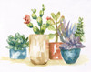 Summer Succulents I Poster Print by Nan Nan - Item # VARPDX41123