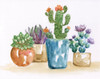 Summer Succulents II Poster Print by Nan Nan - Item # VARPDX41124