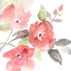 Coral Blush I Poster Print by Nan Nan - Item # VARPDX41151