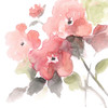 Coral Blush II Poster Print by Nan Nan - Item # VARPDX41152