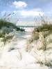 Dune View Poster Print by Sally Swatland - Item # VARPDX41178