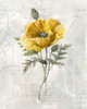 Canaray Linen Poppy Poster Print by Carol Robinson - Item # VARPDX41250