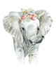 Savannah Elephant Poster Print by Carol Robinson - Item # VARPDX41304
