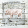 Farmhouse Collage Pig Poster Print by Carol Robinson - Item # VARPDX41336