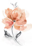 Soft Sensation I Poster Print by Nan Nan - Item # VARPDX41475