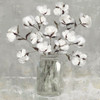 Cotton Bouquet Poster Print by Carol Robinson - Item # VARPDX41566