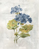 Blue Linen Geranium Poster Print by Carol Robinson - Item # VARPDX41858
