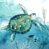 Delray Sea Turtle I Poster Print by Carol Robinson - Item # VARPDX41879