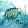 Delray Sea Turtle I Poster Print by Carol Robinson - Item # VARPDX41879