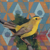 Wilsons Warbler Poster Print by Kathrine Lovell - Item # VARPDX43539