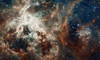 Tarantula Nebula - Full Poster Print by NASA NASA - Item # VARPDX459149
