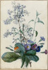 A Bouquet of Flowers with Insects Poster Print by Pierre Joseph Redoute - Item # VARPDX459371