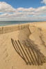 Beach Dunes II Poster Print by Aledanda Aledanda - Item # VARPDX46211