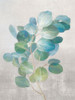 Fresh I Gray Poster Print by Danhui Nai - Item # VARPDX46430