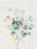 Eucalyptus III Vintage Poster Print by Danhui Nai - Item # VARPDX46432