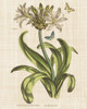Herbal Botany XX Butterfly Linen Crop Poster Print by Wild Apple Portfolio Wild Apple Portfolio - Item # VARPDX46558