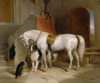 Favourites Poster Print by Sir Edwin Henry Landseer - Item # VARPDX467462