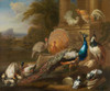 Peacocks, Doves, Turkeys, Chickens and Ducks by a Classical Ruin Poster Print by Marmaduke Cradock - Item # VARPDX468140