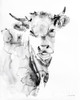 Village Cow Gray Poster Print by Aimee Del Valle - Item # VARPDX47940