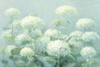 White Hydrangea Garden Sage Crop Poster Print by Danhui Nai - Item # VARPDX48393