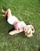 Marilyn Monroe Poster Print by Hollywood Photo Archive Hollywood Photo Archive - Item # VARPDX488602